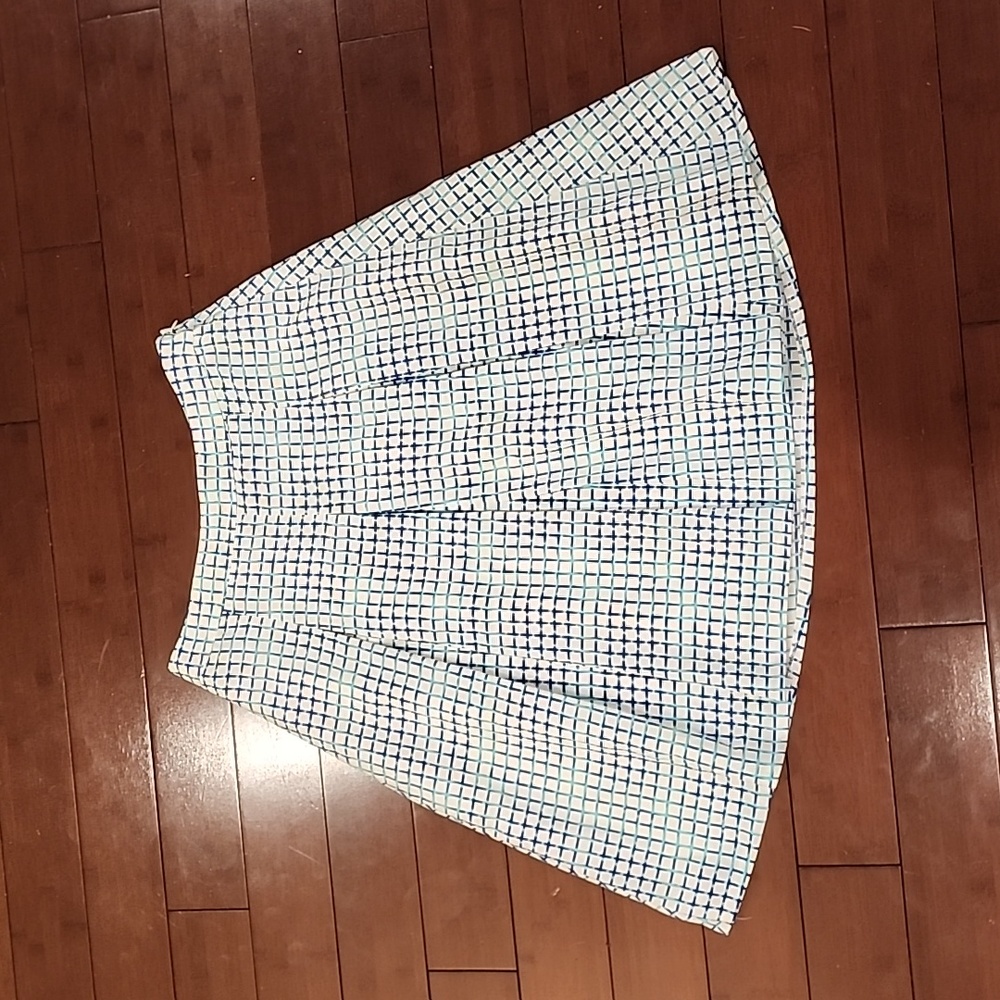 The Limited Pleated A-Line Skirt Size 10